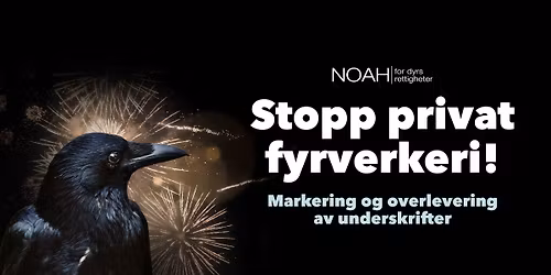 Ja til dyrevennlig nytt\u00e5rsfeiring - overlevering av underskrifter