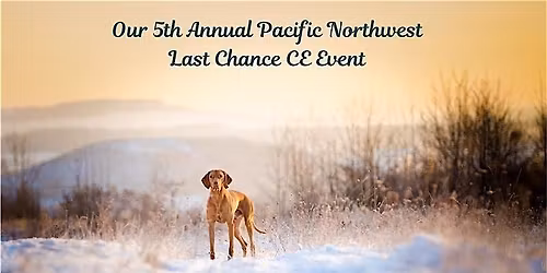 5th Annual Last Chance CE