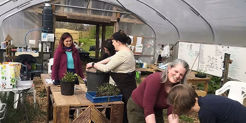 GARDENING FOR BEGINNERS - EASY FRUIT, VEGETABLES AND MORE