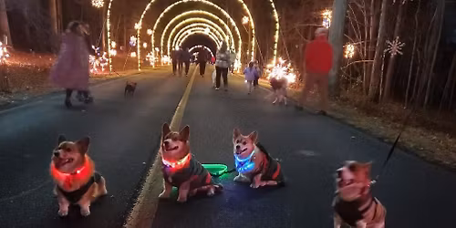 2025 Walk and Wag Gaithersburg MD Seneca Creek Park