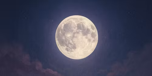 \ud83c\udf38Flower Moon Breathwork & Sound Bath: A Full Moon Spring Rebirth Ritual With Tanvi Patil