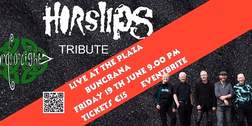 Swords of Light - A Tribute to Horslips at the Plaza Buncrana