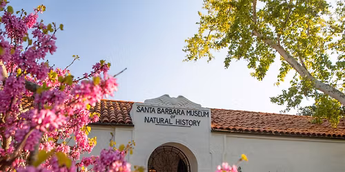 Blended Families, Balanced Estate Plans: Lunch & Learn Webinar