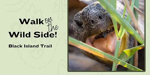 Walk on the Wild Side