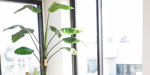 Women's Workshop - The Alchemy of Stress