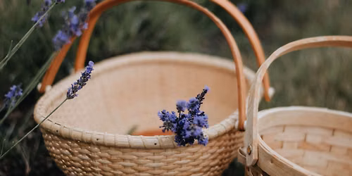 Lavender U-Pick / Friday June 26th (opening day!)
