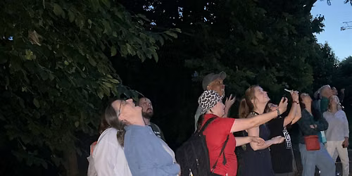Expert-Led Evening Bat Walk