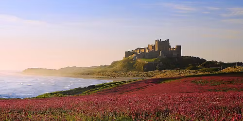 Northumberland Coast and Holy Island Walking Holiday