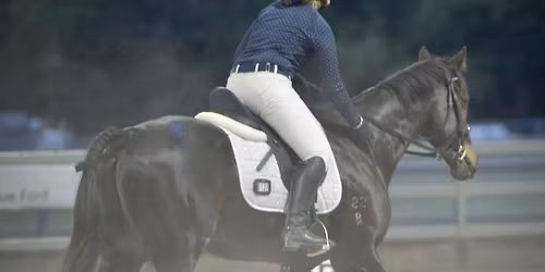 NDHD & Dollys Dream C & P Charity Dressage Day 