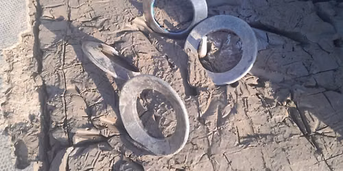 Quoits knockout