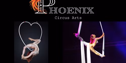 Phoenix Kupa - Orsz\u00e1gos R\u00fad - \u00e9s L\u00e9gtorna M\u0171v\u00e9szeti Bajnoks\u00e1g