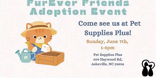 PetSupplies Plus West Asheville- FurEver Friends Adoption Event