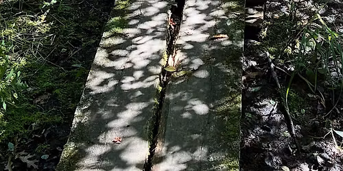 Ward Reservation boardwalk project! Part 2, Saturday 11\/15\/25