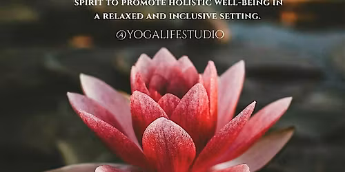 The Wellness Workshops 2026