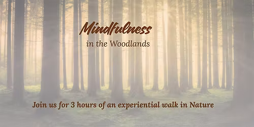 Mindfulness in the Woodland
