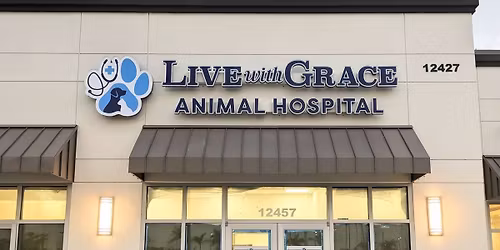 Ribbon Cutting Celebration