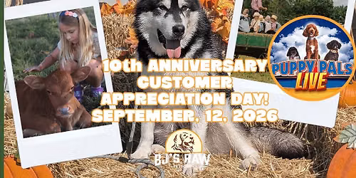 10th Anniversary Customer Appreciation Day Feat. Puppy Pals LIVE! \ud83d\udc3e\ud83c\udfaa