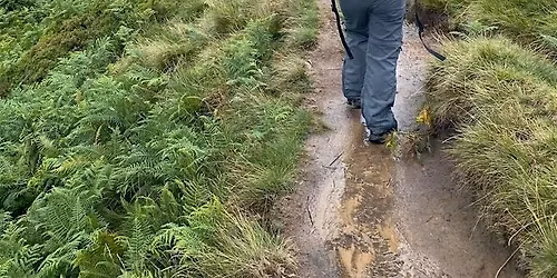 Hill and Moorland Leader Training