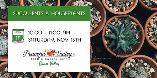 Succulents & Houseplants