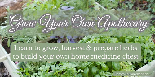 Grow Your Own Apothecary 