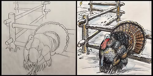 Turkey in Barnyard Ink and Watercolor | Cheryl Bielli, instructor