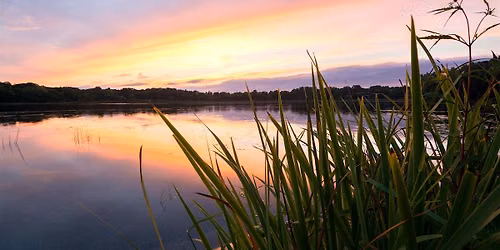 Nature-Connected Professionals: Summer Gathering 2026