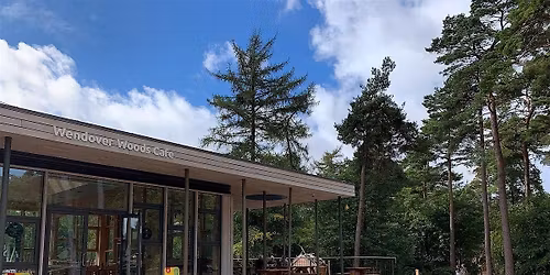 Meet Outside - Stroll & Chat - Wendover Woods