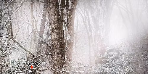 126th Christmas Bird Count