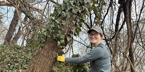 Vegetation Removal Near Daingerfield Island
