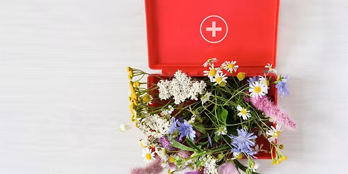 Children's Herbal First Aid & Home Ph*rm*cy