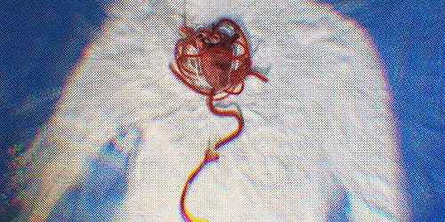 Breathe In \/ Breathe Out