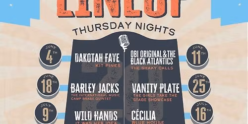 Raynes Live at Levitt Amp Minot