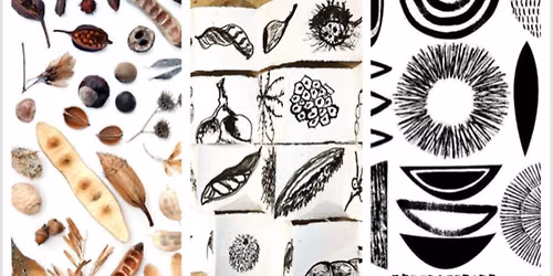 The Hidden Beauty of Seeds with Ink and Watercolour wash