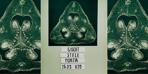 enter the void vol III: GISCHT x STELE x PORTIA