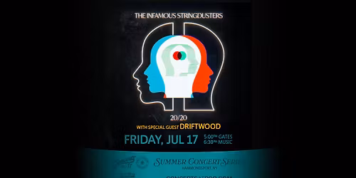 The Infamous Stringdusters with Special Guest Driftwood at Concerts at Point of the Bluff