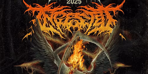 Ingested - Studio B