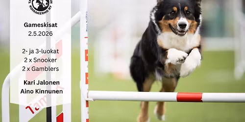 TamSKin toukokuun gameskisat