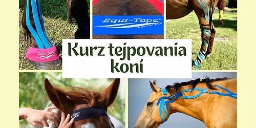 KURZ Tejpov\u00e1n\u00ed kon\u00ed - TAPES AND BONES