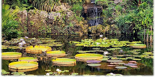 11th Independent Plant Breeders Conference