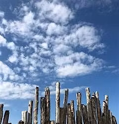 Special Event: Yoga Nidra meets Systemic Constellations - weekend workshop