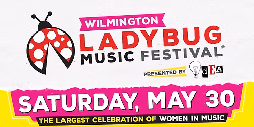 DSJ plays the Ladybug Music Festival!