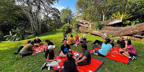 Forest Bathing with Greenpeace x Ru Yi