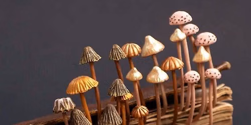 Paper Toadstool Book-terrarium