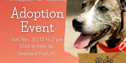 November Adoption Event at Pet Supplies Plus Leawood