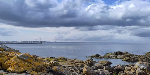 Greyhope Morning: Wildlife at Torry Battery
