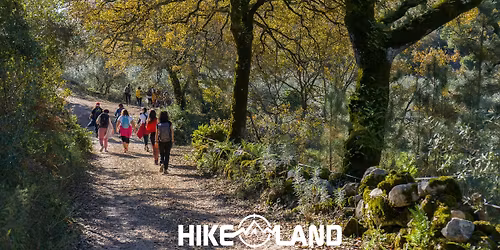 Cores de Outono nos Carvalhais de Alvados | PNSAC