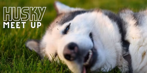 Husky Meet Up