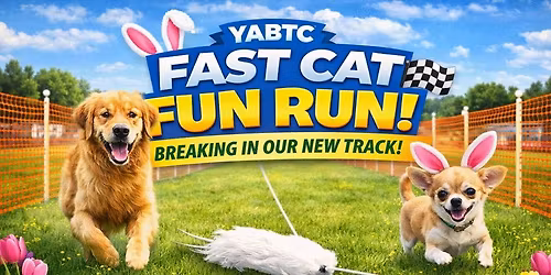 YABTC Fun Run
