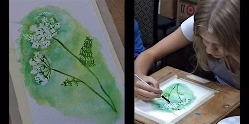 Queen Anne's Lace Watercolor | Cheryl Bielli, instructor
