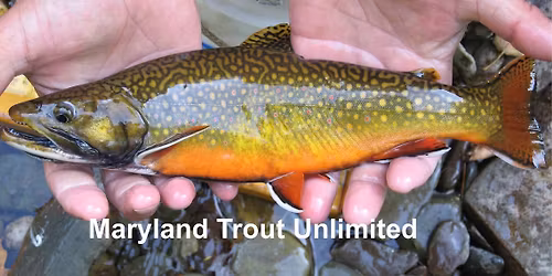 Fly Fishing HH @Patagonia Baltimore